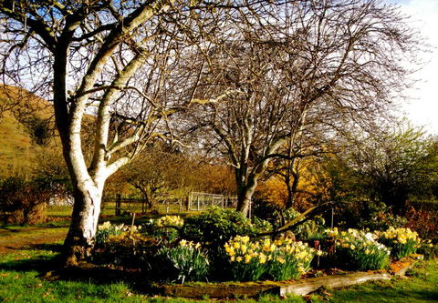 Naylor House - Accommodation New Zealand 4