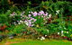 Naylor House - thumb 8