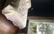 The Old Manse Boutique Bed And Breakfast - thumb 2