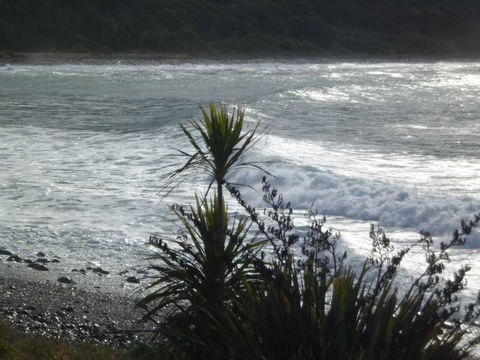 Churchill Park Lodge - Accommodation New Zealand 3