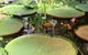 Gay Auckland Bed And Breakfast - thumb 3