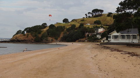 Gay Auckland Bed And Breakfast - Accommodation New Zealand 4