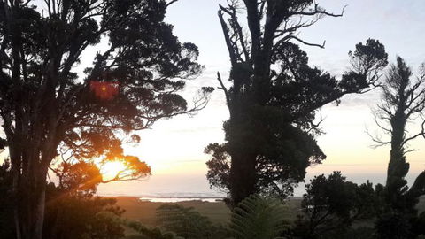 Hide And Seek B&B - Accommodation New Zealand 15
