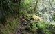 Hide And Seek B&B - thumb 17