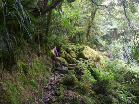 Hide And Seek B&B - Accommodation New Zealand 17