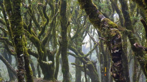 Hide And Seek B&B - Accommodation New Zealand 18