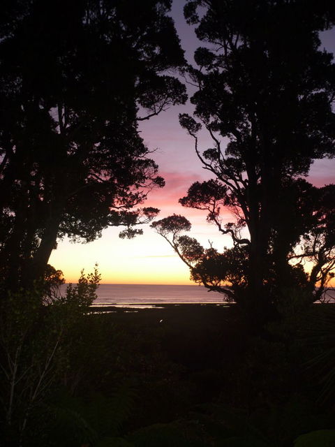 Hide And Seek B&B - Accommodation New Zealand 21