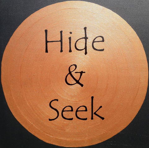 Hide And Seek B&B - Accommodation New Zealand 24