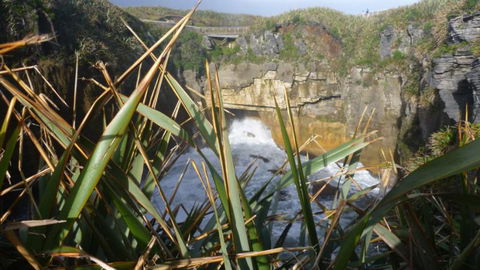 Hide And Seek B&B - Accommodation New Zealand 23