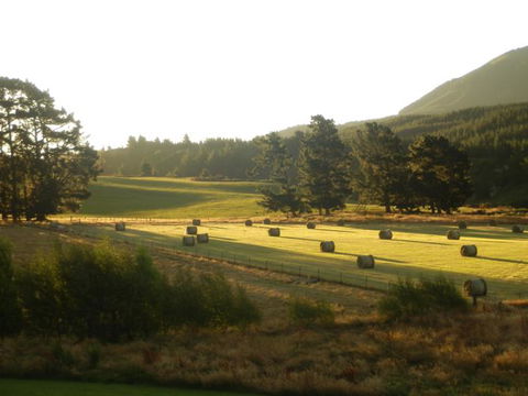 Awen Lodge B&B - Accommodation New Zealand 1