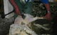 Petes Farm Stay B&B - thumb 4