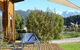 Ribbonwood Retreat - thumb 1