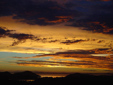 Buffalo Lodge - Accommodation New Zealand 1