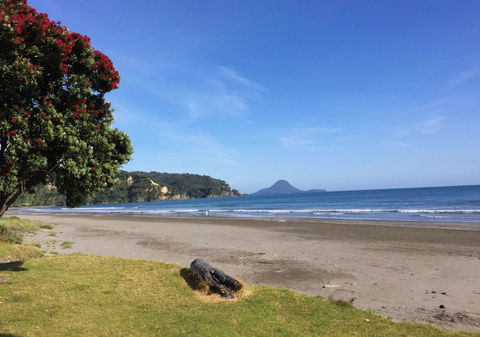 Beachpoint Apartments - Accommodation New Zealand 14