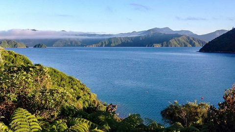 Whatamonga Home Stay Ltd - Accommodation New Zealand 1