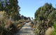Hokonui Bed & Breakfast - thumb 3