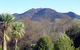 Hokonui Bed & Breakfast - thumb 5