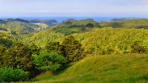 Lake Ngatu Lodge BnB And Gardens - Accommodation New Zealand 1