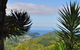 Lake Ngatu Lodge BnB And Gardens - thumb 2