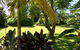 88 Lodge Bed & Breakfast  - thumb 8