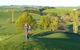 Aoraki Cottage B&B/Adventure Farm Stay - thumb 1