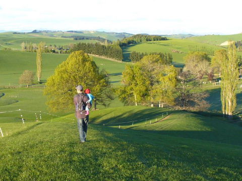 Aoraki Cottage B&B/Adventure Farm Stay - Accommodation New Zealand 1