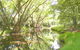 Aoraki Cottage B&B/Adventure Farm Stay - thumb 2
