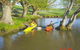Aoraki Cottage B&B/Adventure Farm Stay - thumb 4