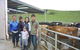 Aoraki Cottage B&B/Adventure Farm Stay - thumb 5