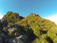 Mangotahi Lodge