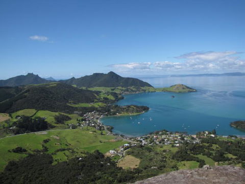 Taurikura Studio Apartment - Accommodation New Zealand 1