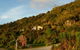 Hydrangea Cottages Punakaiki - thumb 1
