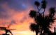 Hydrangea Cottages Punakaiki - thumb 15