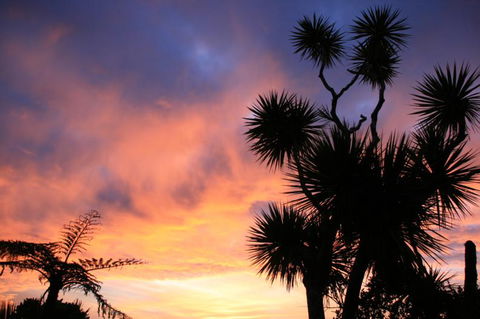 Hydrangea Cottages Punakaiki - Accommodation New Zealand 15