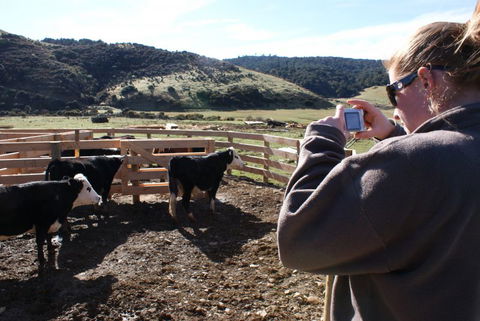 Chaslands Farm Cottages - Accommodation New Zealand 1
