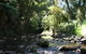 Chaslands Farm Cottages - thumb 6