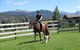 Kepler Oaks Chalet - thumb 42
