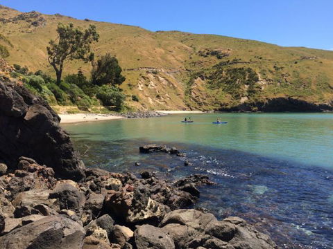 Te Pohue Farm Stay Trails - Accommodation New Zealand 0