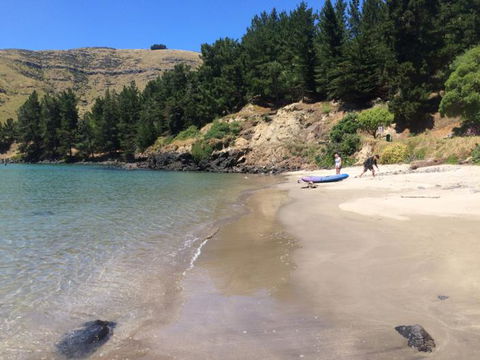 Te Pohue Farm Stay Trails - Accommodation New Zealand 2