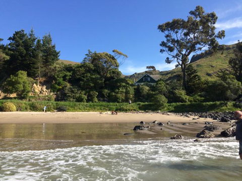 Te Pohue Farm Stay Trails - Accommodation New Zealand 3
