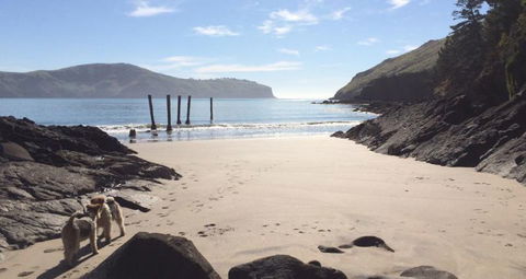Te Pohue Farm Stay Trails - Accommodation New Zealand 4