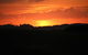 Pukeatua Farmstay - thumb 4