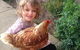 Pukeatua Farmstay - thumb 8