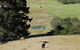 Pukeatua Farmstay - thumb 10
