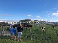 Totara Views Comfy Stay