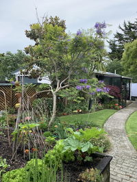 Twin Oaks Quiet Cottage