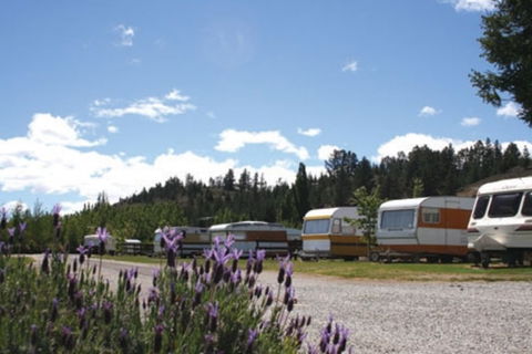 Alexandra Tourist Park - Accommodation New Zealand 1