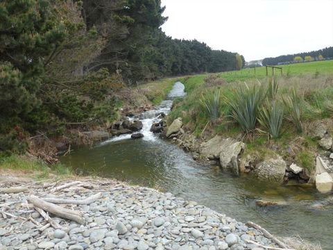 Waitaki Waters Holiday Park - Accommodation New Zealand 12