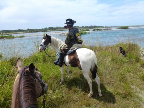 Waitaki Waters Holiday Park - Accommodation New Zealand 8