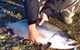 Waitaki Waters Holiday Park - thumb 13